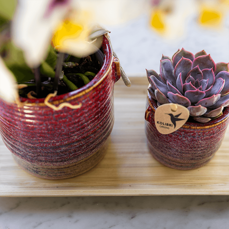 Aura Pflanztopf – Ø9cm – Retro Blumentopf im Bold Seventies Stil – Keramik Übertopf mit Henkeln – Dekorativer Blumentopf für Zimmerpflanzen