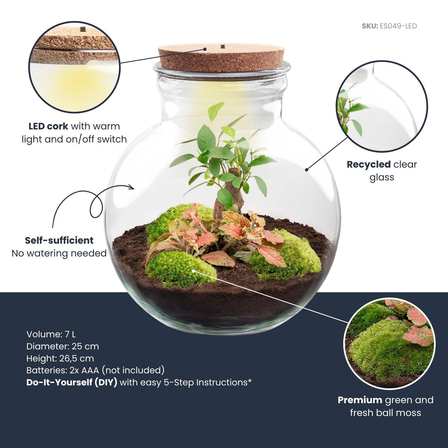 Flaschengarten DIY Bausatz Teddy Bonsai – Terrarium Ø25cm x H26,5cm – Do – It – Yourself Pflanzterrarium – Autarkes Mini – Ökosystem
