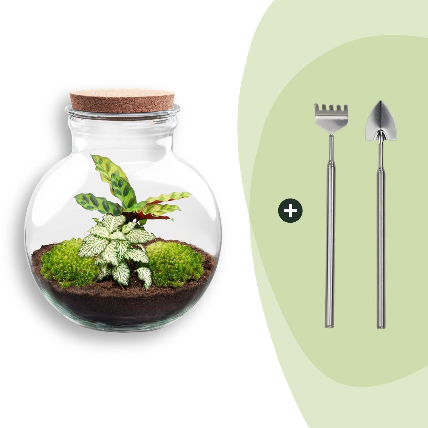 Flaschengarten Teddy – DIY Bausatz Terrarium – ↕26,5cm – Do – It – Yourself Pflanzen – Set im Glas mit Kork – Autarkes Mini – Ökosystem