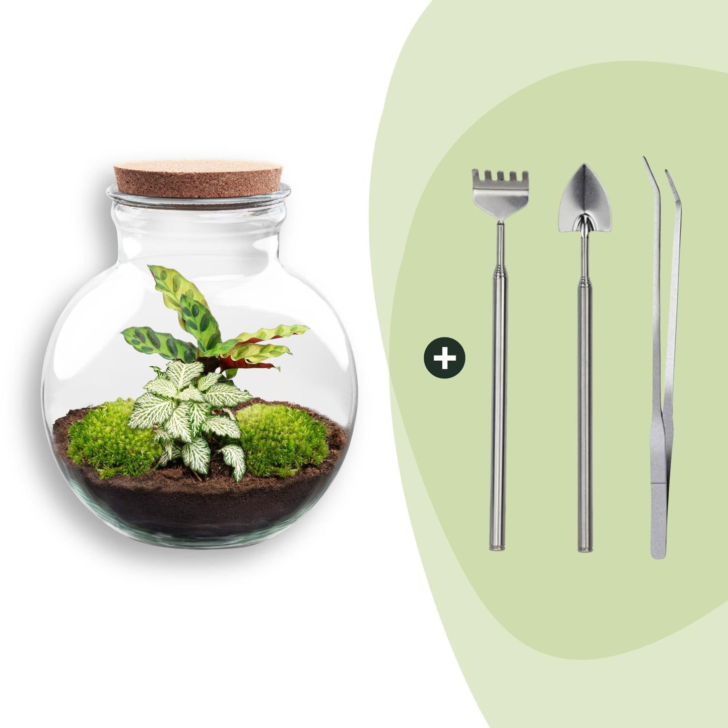 Flaschengarten Teddy – DIY Bausatz Terrarium – ↕26,5cm – Do – It – Yourself Pflanzen – Set im Glas mit Kork – Autarkes Mini – Ökosystem