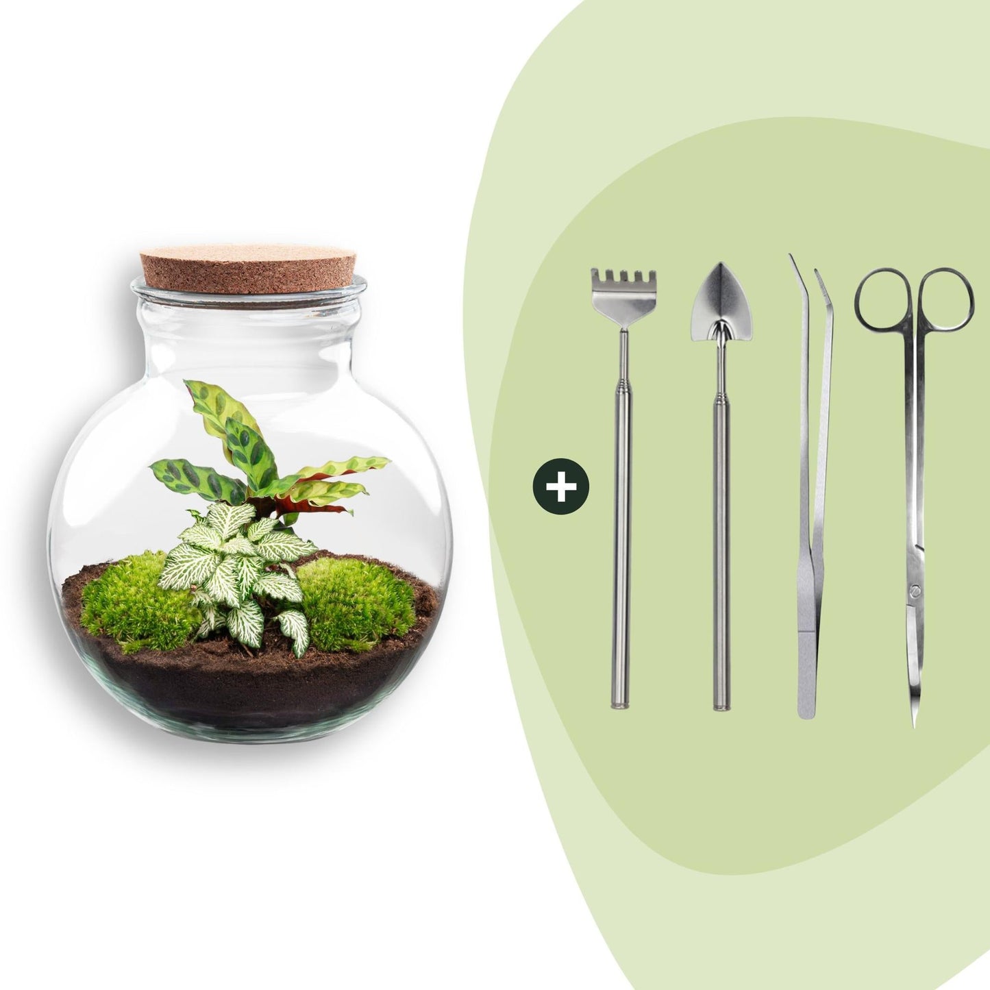 Flaschengarten Teddy – DIY Bausatz Terrarium – ↕26,5cm – Do – It – Yourself Pflanzen – Set im Glas mit Kork – Autarkes Mini – Ökosystem