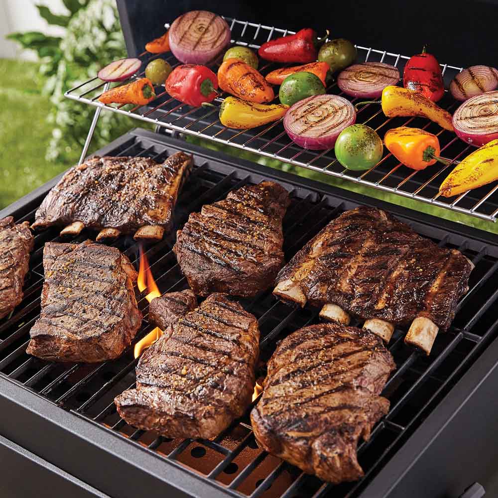 Multi-functional grill