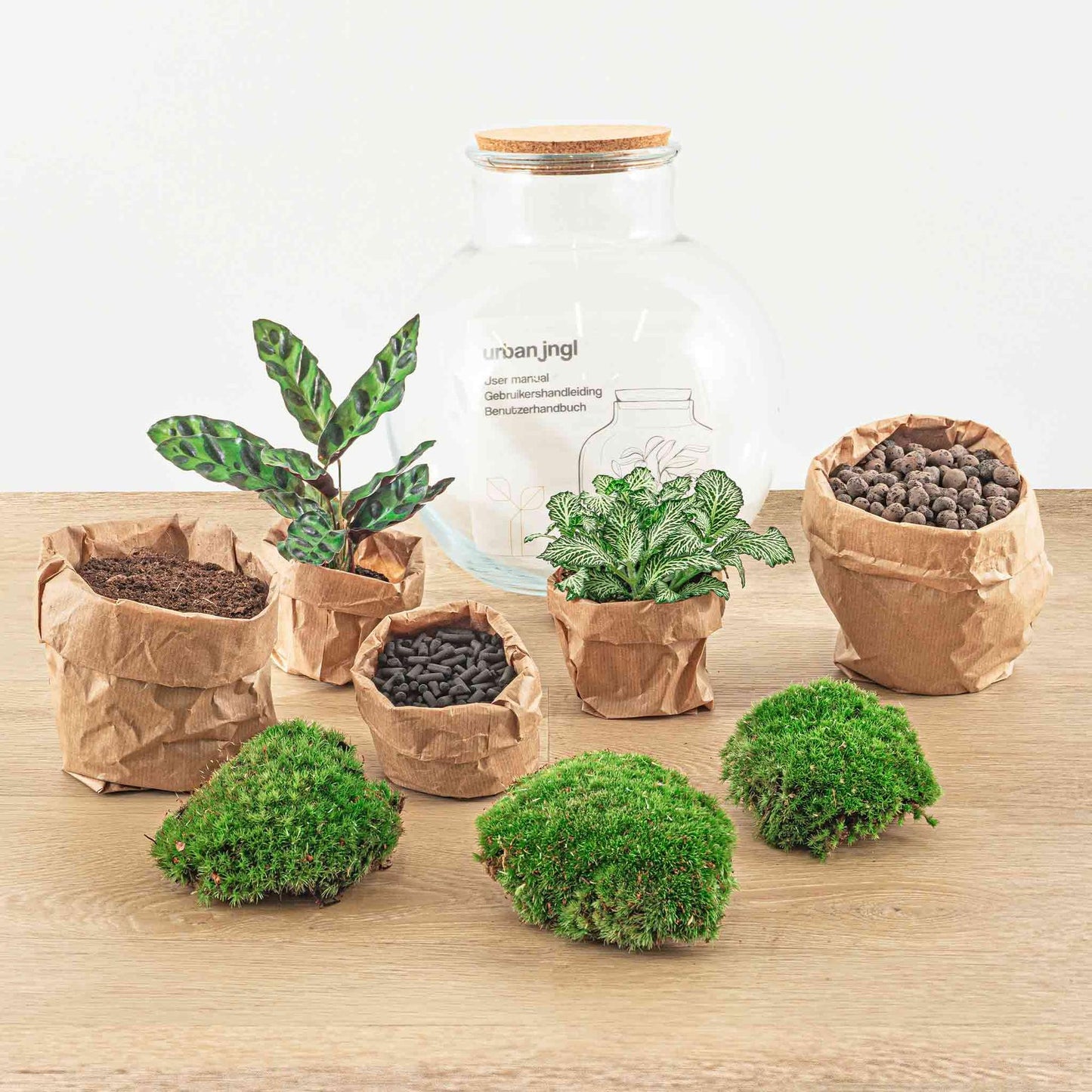 Flaschengarten Teddy – DIY Bausatz Terrarium – ↕26,5cm – Do – It – Yourself Pflanzen – Set im Glas mit Kork – Autarkes Mini – Ökosystem