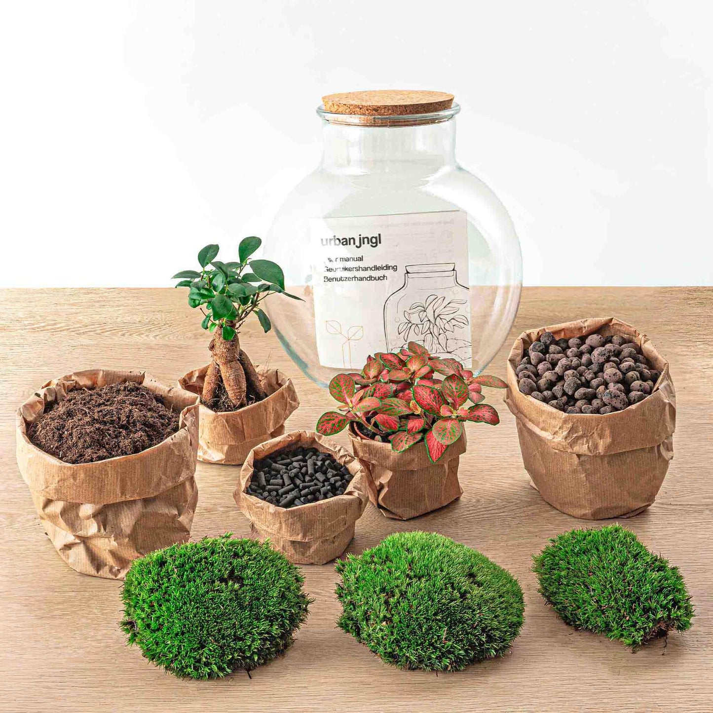 Flaschengarten DIY Bausatz Teddy Bonsai – Terrarium Ø25cm x H26,5cm – Do – It – Yourself Pflanzterrarium – Autarkes Mini – Ökosystem
