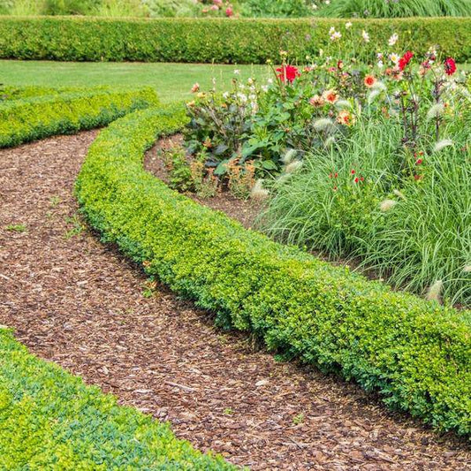 Premium Bark 30-40mm Culvita French Maritime Pine – high-quality product for plants, garden, home, decoration & modern interior